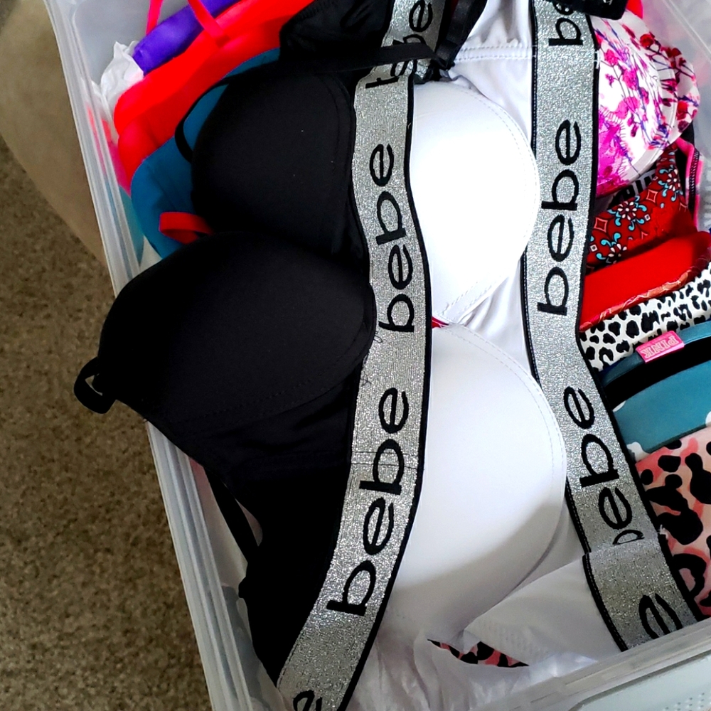BeBe bras
